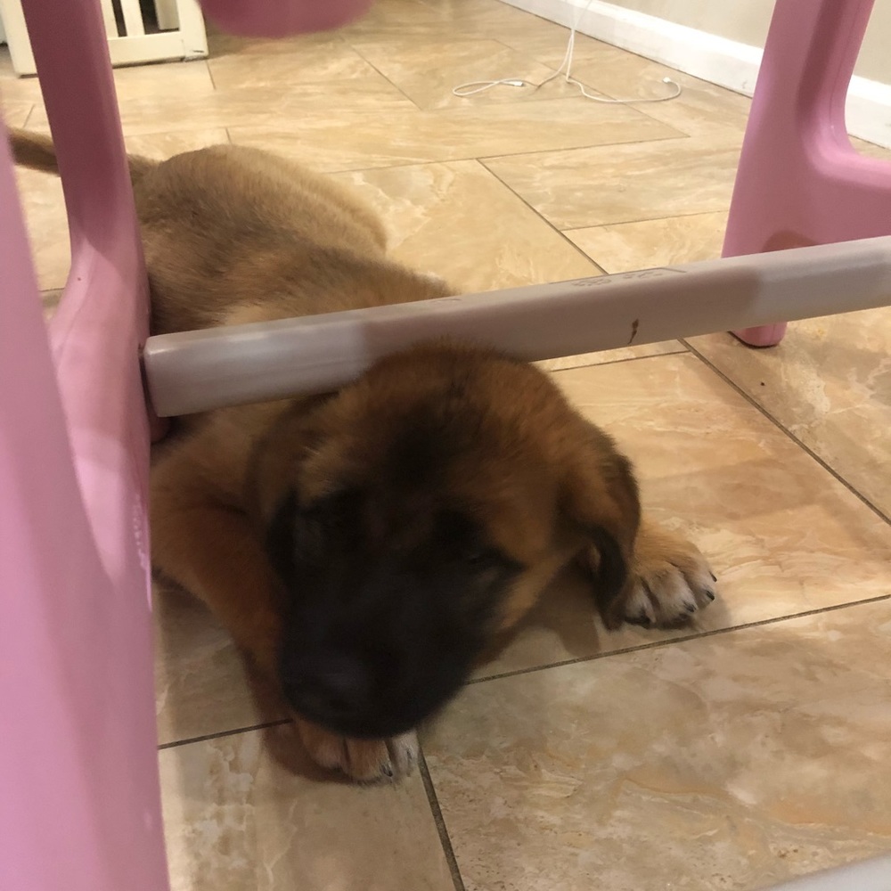 Trade for Kenna 💕